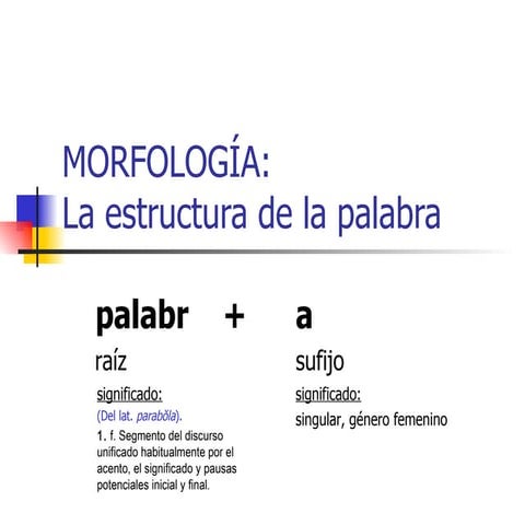 Morfologia
