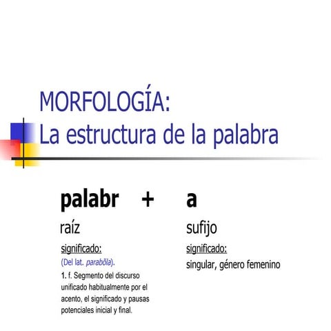 Morfologia