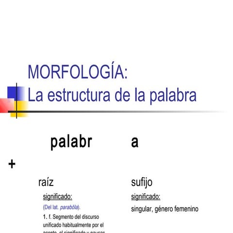 Morfologia