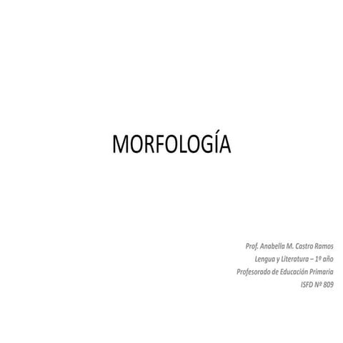 Morfología