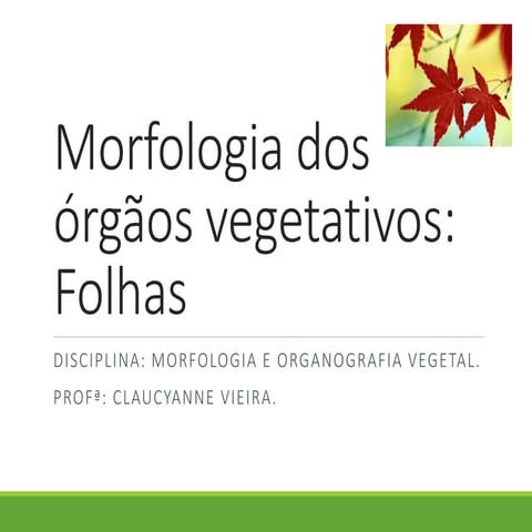 Morfologia dos órgãos vegetativos  folha