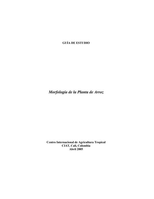 Morfologia planta arroz