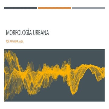 Morfologia Urbana (Venecia- Italia) 