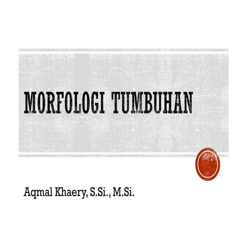 Morfologi tumbuhan (Plant morphology)