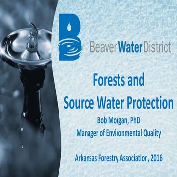Forests and Source Water Protection | Dr. Bob Morgan