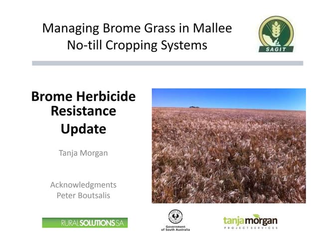 Brome Herbicide Resistance Update - Tanja Morgan