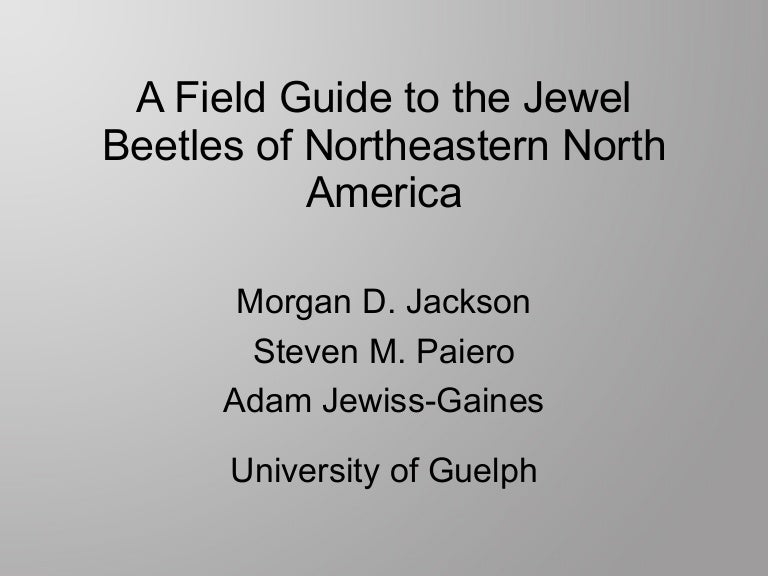 Jackson Field guide to the jewel beetles of Northeastern Nor…