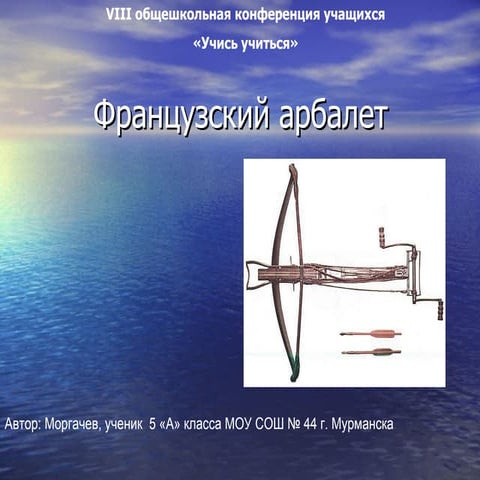 Школьная конференция-2008-Иван М.