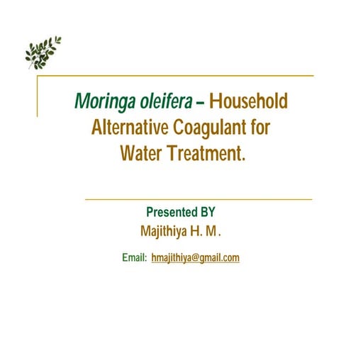 Moringa oleifera as alternative coagulant