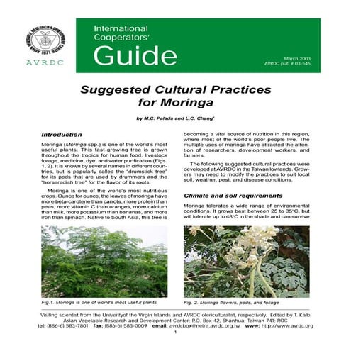 moringa cultivation | PPTX