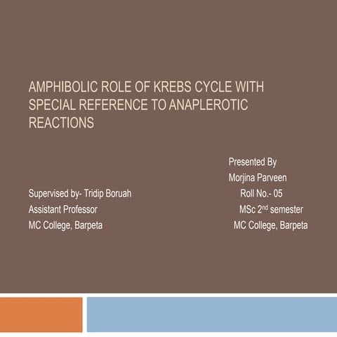 AMPHIBOLIC ROLE OF KREBS CYCLE WITH SPECIAL REFERENCE TO ANAPLEROTIC REACTIONS