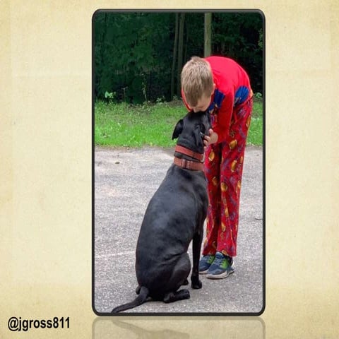 Morley stanwood june 2020