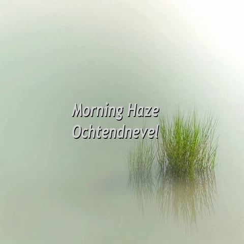 Beautiful fog | PPS