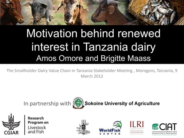 Motivation behind renewed interest in Tanzania dairy