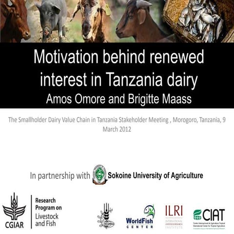 Motivation behind renewed interest in Tanzania dairy