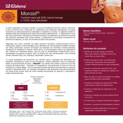 Morosil | PDF