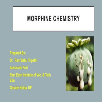 Morphine chemistry