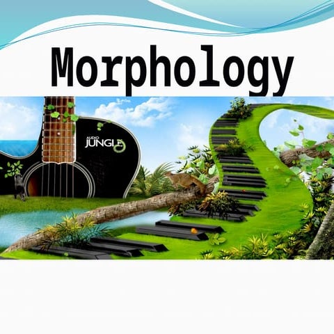 Morphemes & Types of morphemes | PPT