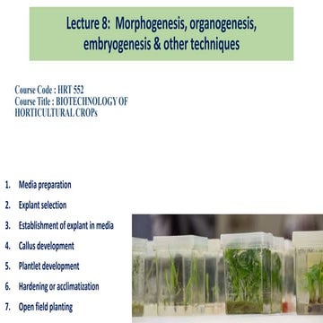 Morphogenesis, organogenesis, embryogenesis &amp; other techniques