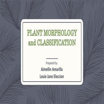 Morphological Classification of Plants