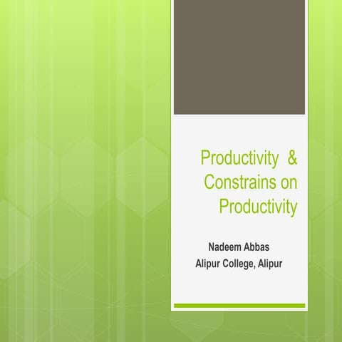 Morphological Productivity.pptx