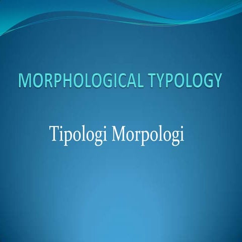Morphological typology