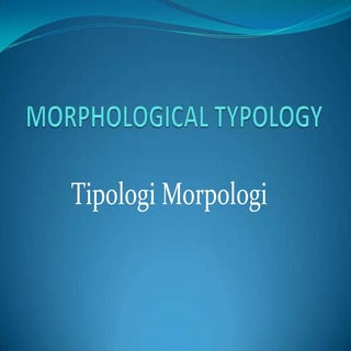 Morphological typology