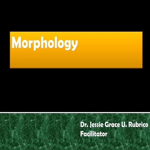Morphology