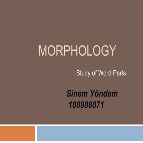 Morphology