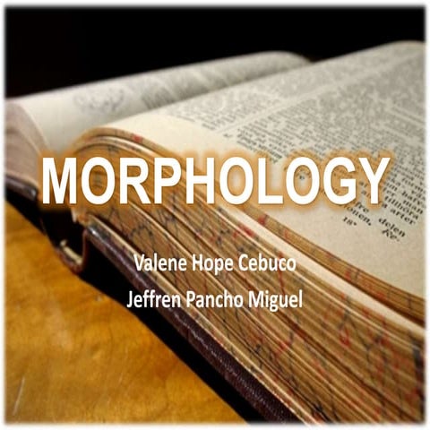 Morphology