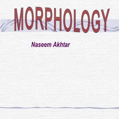 Morphology 