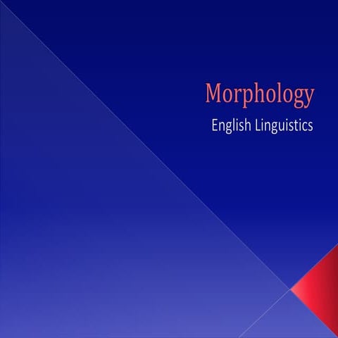 Morphology