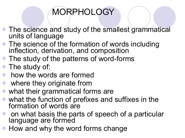 morphology 1225479939518552 8 thumbnail 4 jpg cb 1225454888 morphology linguistics