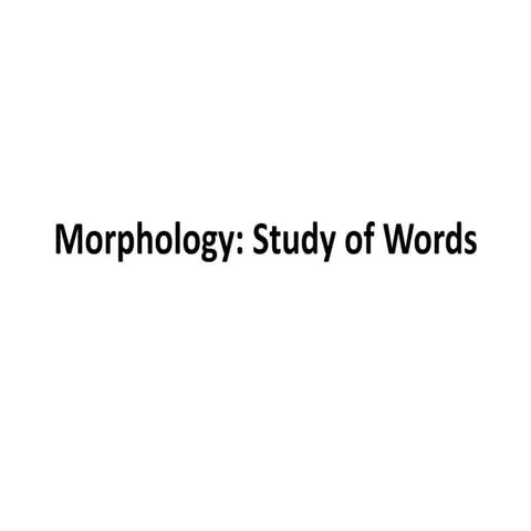 Morphology