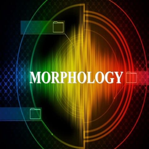 Morphology