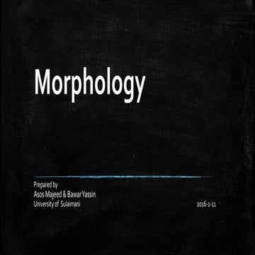 Morphology