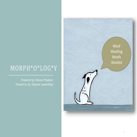 Morphology
