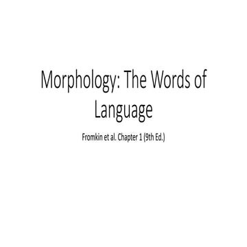 Morphology