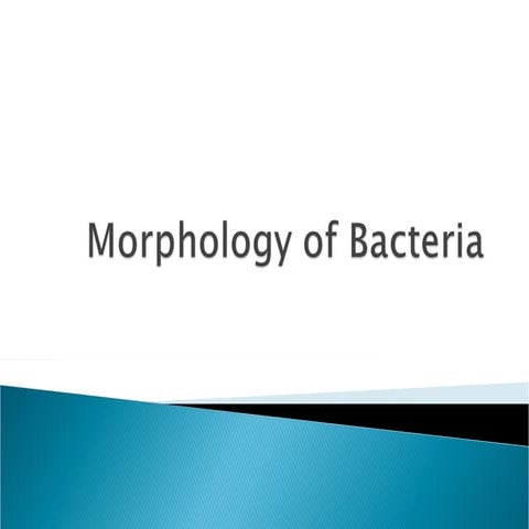 Morphology-of-bacteria-_1_ microbiology.ppt