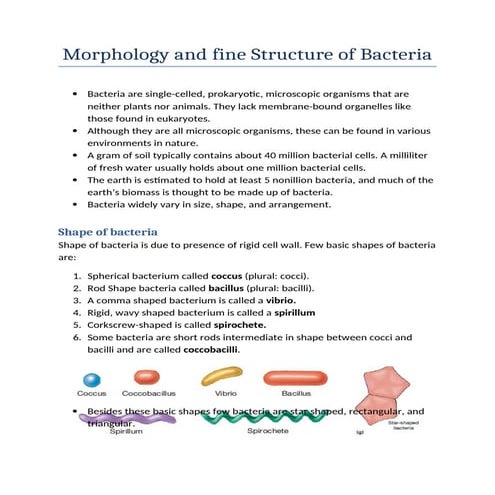 Morphology and fine Structure of Bacteria (shape, size, arrangement, structur...