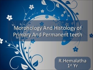 Morphology and histology