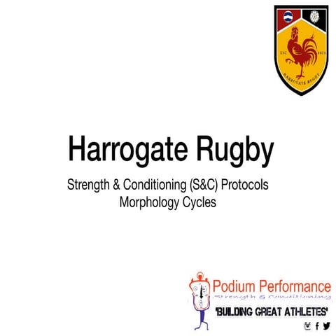 S&C Protocol - Morphology Programming