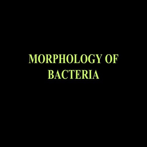 Morphology of bacteria