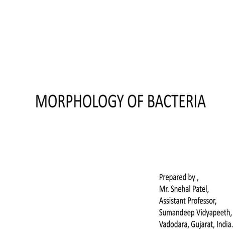 Morphology of bacteria