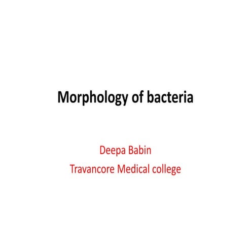Morphology of bacteria deepa babin