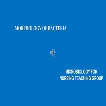 Morphology of bacteria lecture.pptx