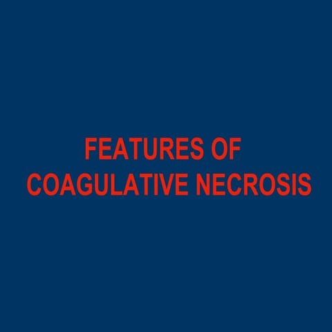 Coagulative Necrosis + Morphology