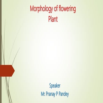 morphologyoffloweringplants-190907084525.pdf