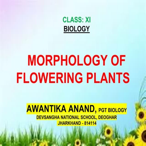 Morphology of Flowering Plants BY AWANTIKA.pdf