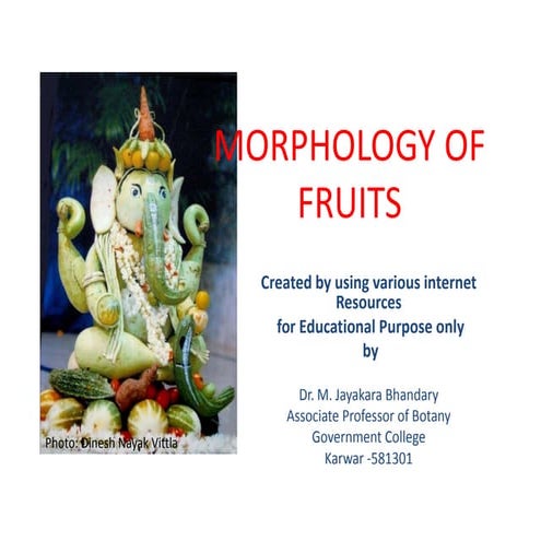 Morphology of fruits